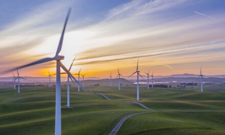 Pana LCE Announces New Low Carbon Economy Platform