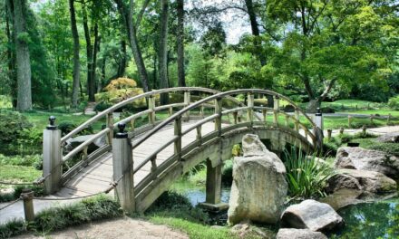 EQT Launches Largest Ever ESG-linked Fund Bridge Facility