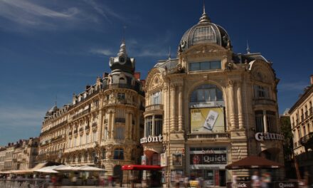 Mirova Partners with University of Montpellier and CEE-M to Study Sustainable Finance