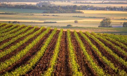 Cargill Launches Large Scale Water Restoration Program