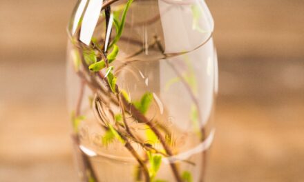 Consumer Brand Companies Invest in Circular Economy Fund