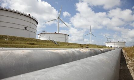 Energy Giant BP Launches Energy Transition Strategy, Slashes Dividend