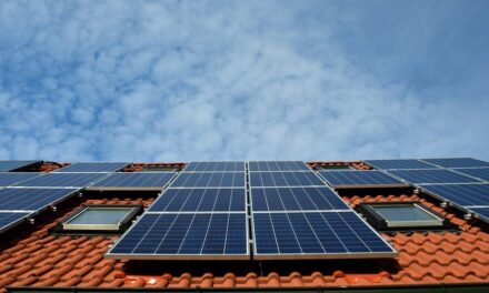 Clean Energy Software Company Palmetto Raises $29 Million in Series B Financing