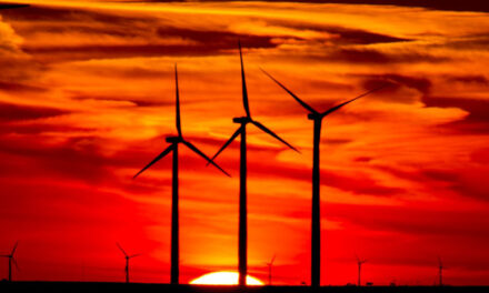 Institutional Investor Group Develops Climate and Decarbonisation Framework