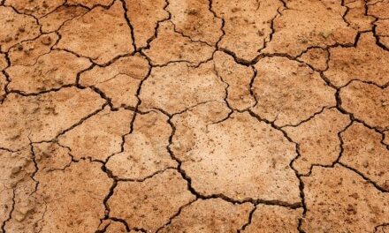 Fitch Warns Water Risks Likely to Become Increasingly Relevant for Sovereign Ratings