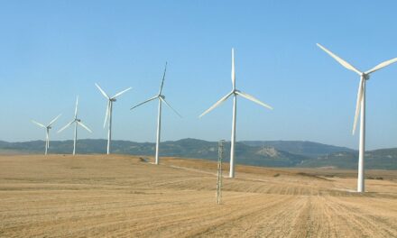 Coalition Launches SME Climate Hub, Enabling Smaller Businesses to Tackle Climate Change