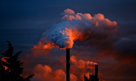 CDP and UCL Report Warns of Massive Economic Cost of Climate Inaction