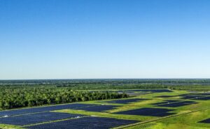 JERA Nex Enters U.S. Solar Market with 395 MW Acquisition