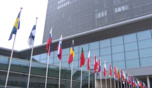 EU Lawmakers Approve Regulation to Establish Carbon Removal Certification System