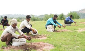 Microsoft Signs 30-Year Carbon Removal Afforestation Deal in India